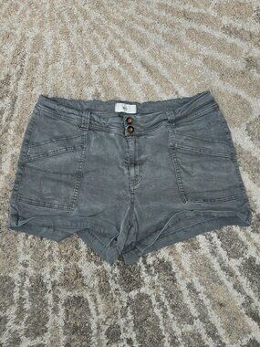 BKE Shorts Size 32